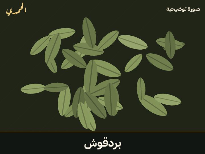 بردقوش