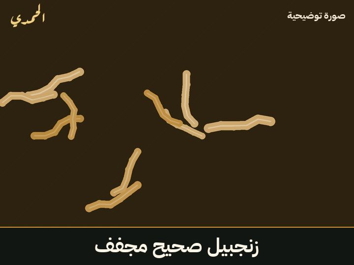 زنجبيل صحيح مجفف