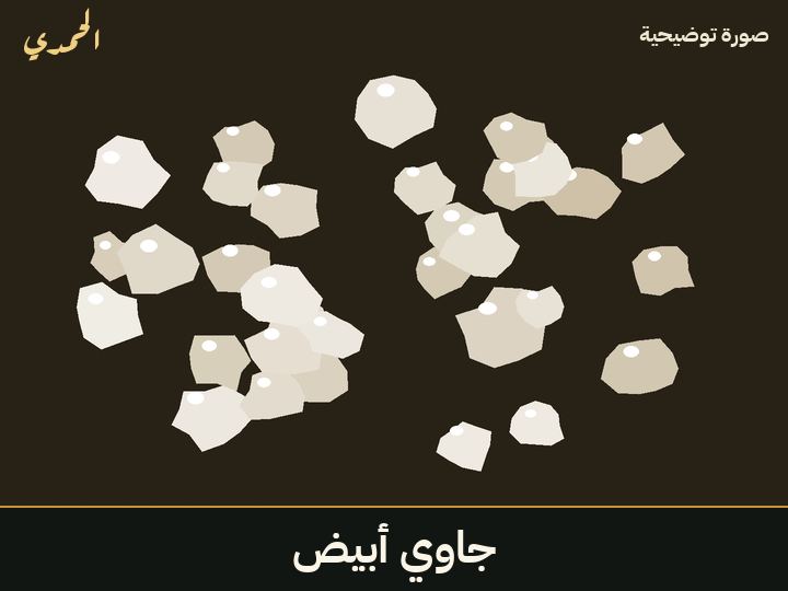 جاوي أبيض