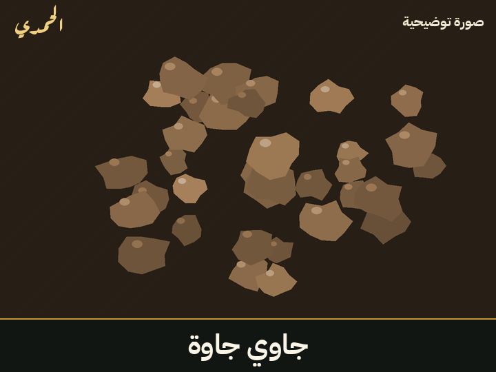 جاوي (جاوة)