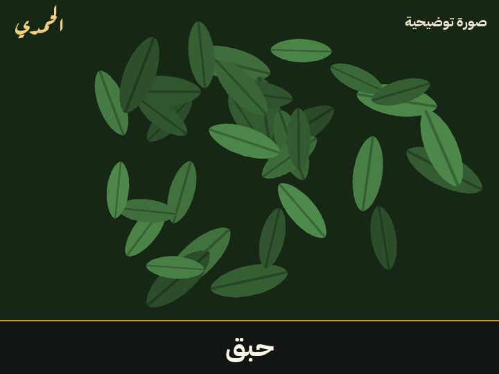 حبق