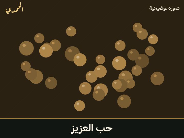 حب العزيز