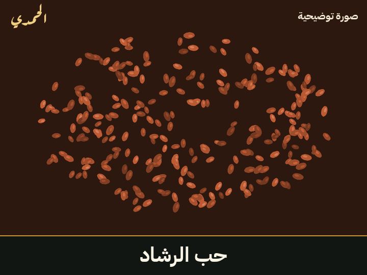 حب الرشاد