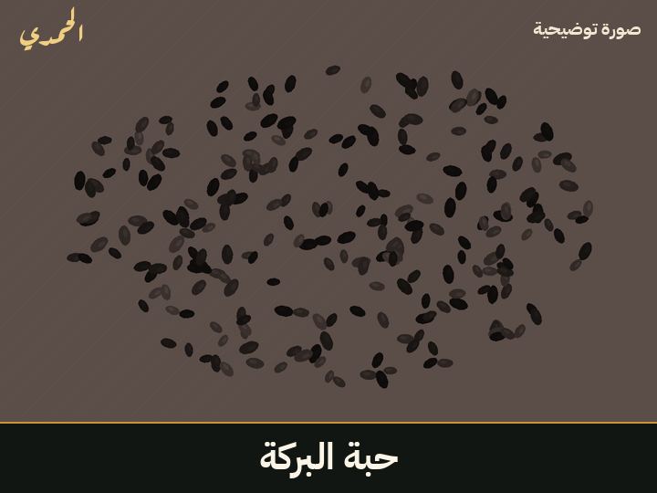 حبة البركة