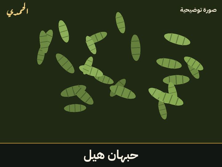 حبهان (هيل)