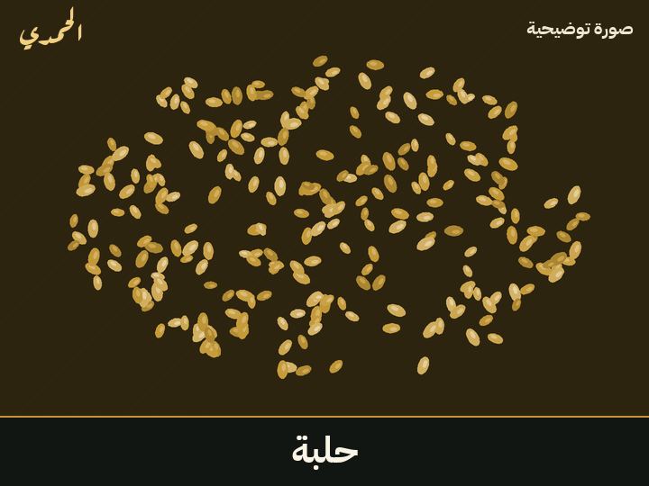 حلبة