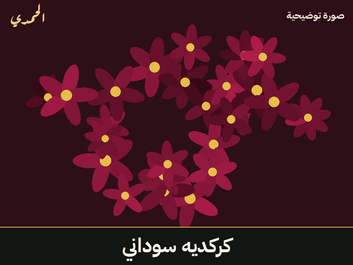 كركديه سوداني