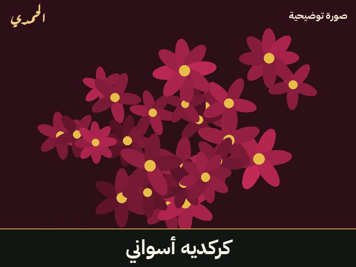 كركديه أسواني
