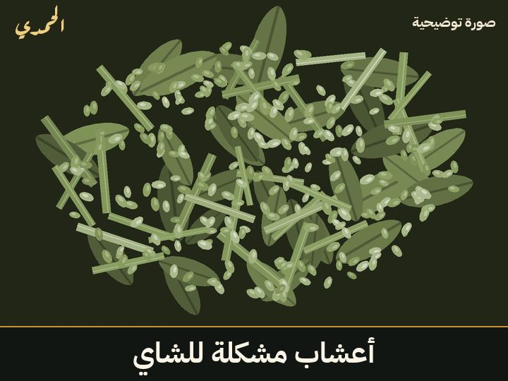 أعشاب مشكلة للشاي