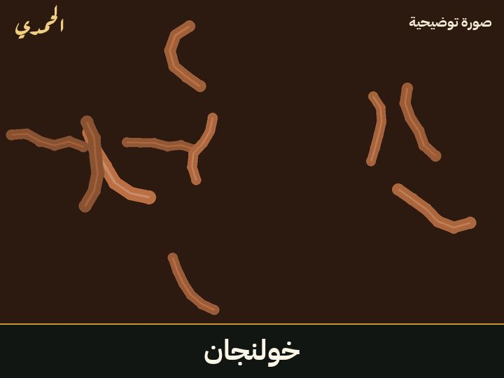 خولنجان