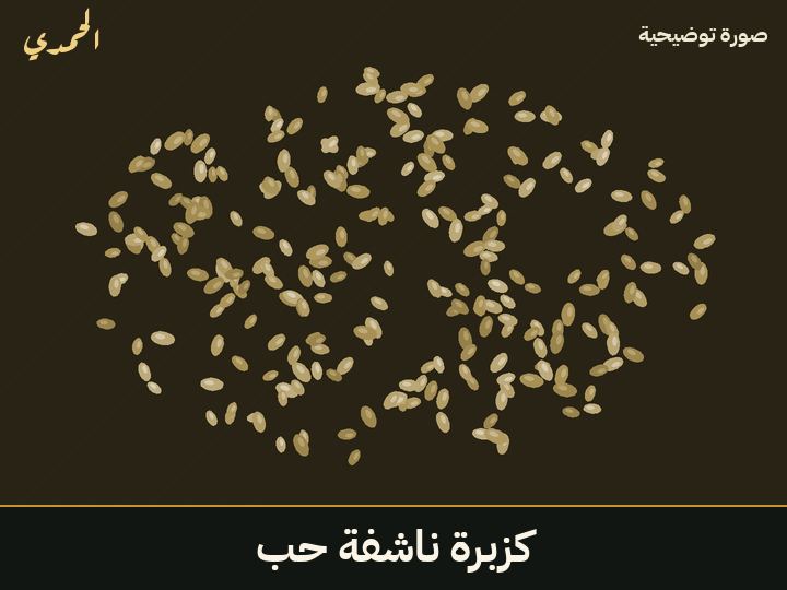 كزبرة ناشفة (حب)