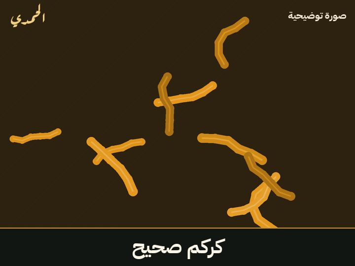 كركم صحيح