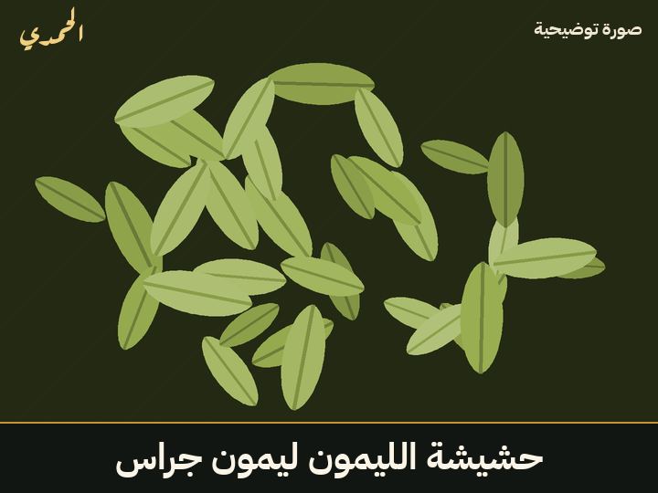 حشيشة الليمون (ليمون جراس)