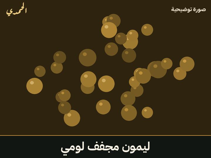 ليمون مجفف (لومي)