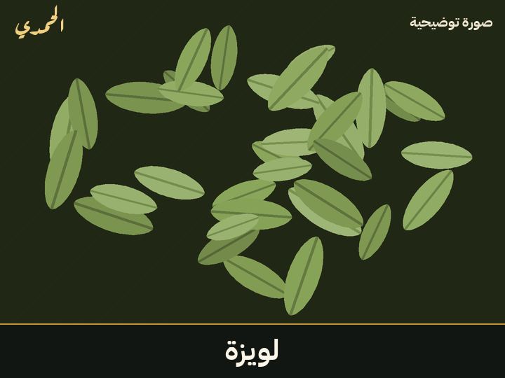 لويزة