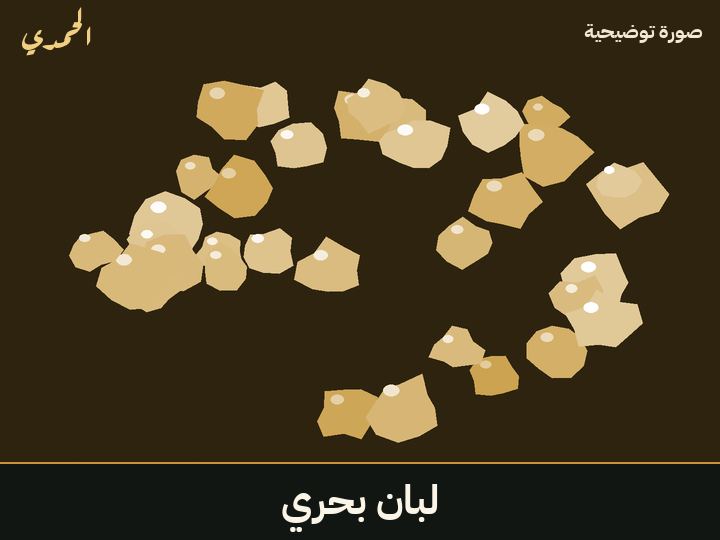 لبان بحري