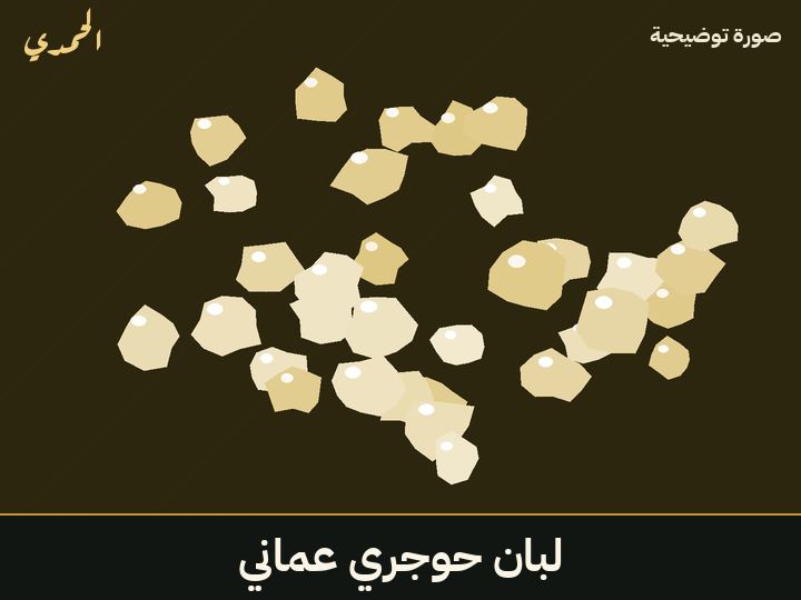 لبان حوجري عماني