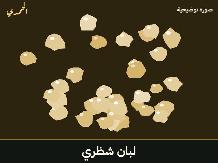 لبان شظري