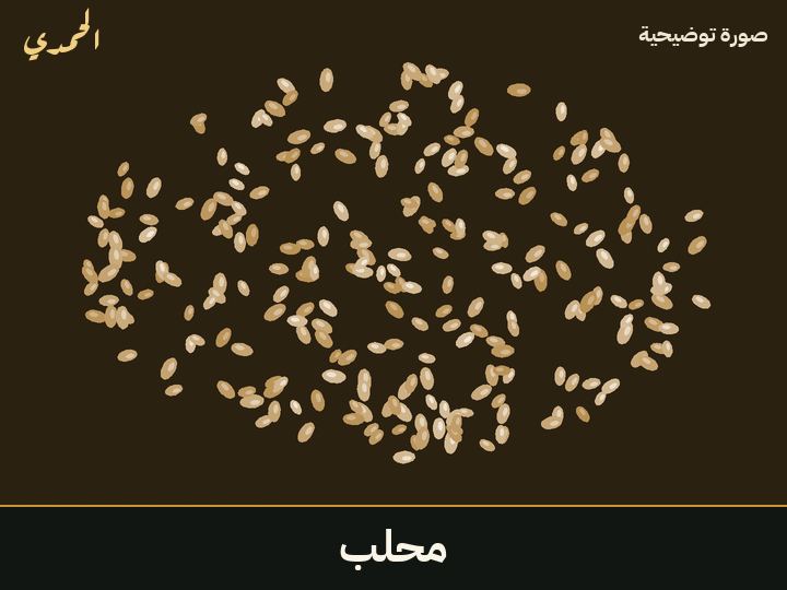 محلب