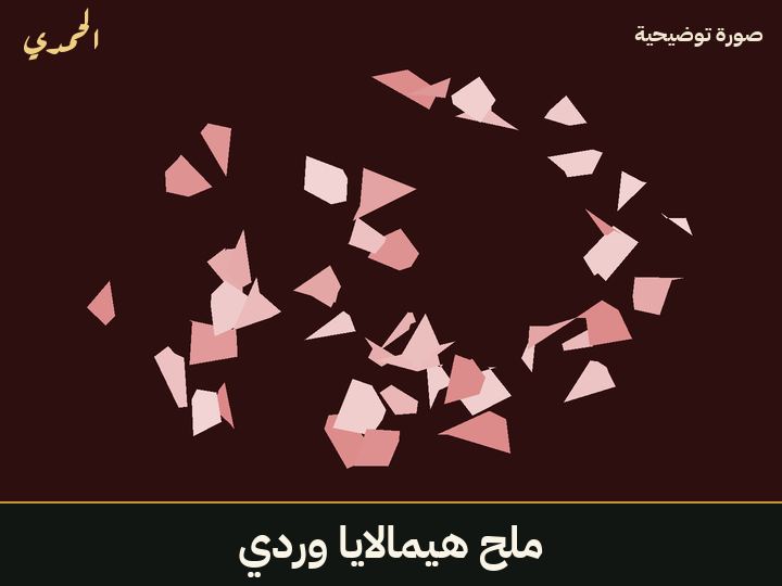 ملح هيمالايا وردي