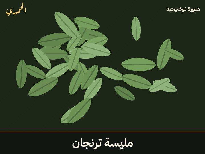 مليسة (ترنجان)