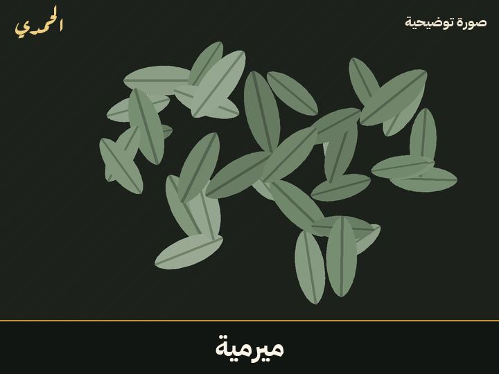 ميرمية