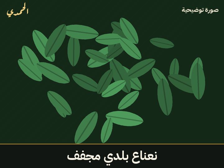 نعناع بلدي مجفف