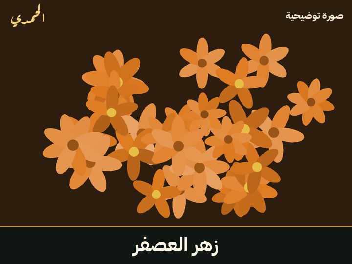 زهر العصفر