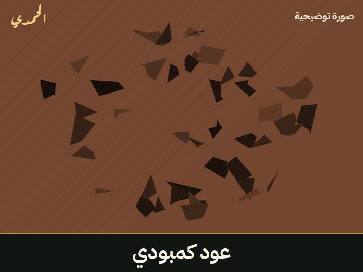 عود كمبودي