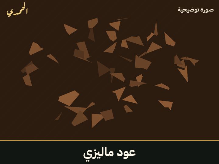 عود ماليزي