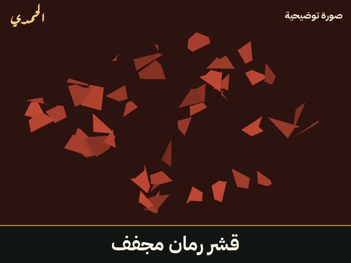 قشر رمان مجفف