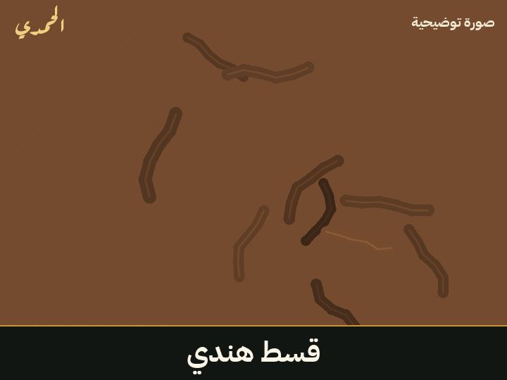 قسط هندي