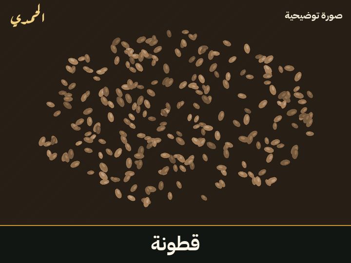 قطونة