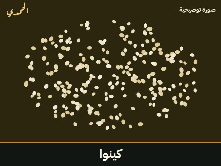 كينوا