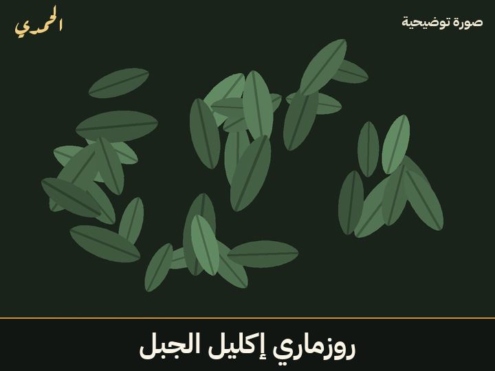 روزماري (إكليل الجبل)