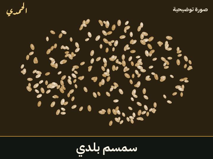 سمسم بلدي