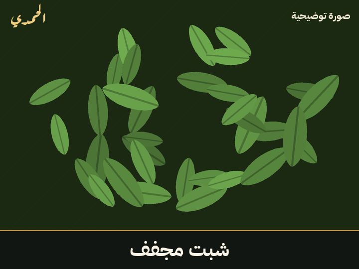 شبت مجفف