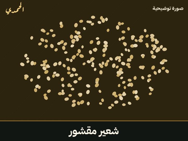 شعير مقشور