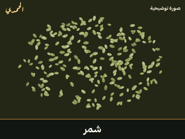 شمر