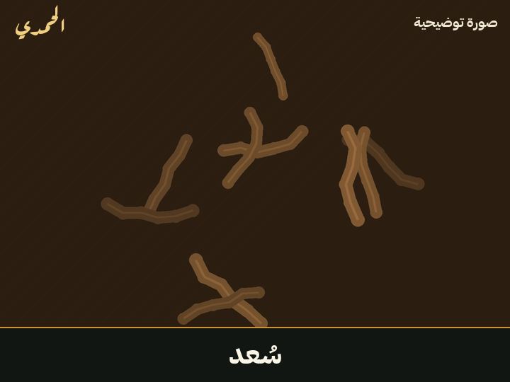 سُعد