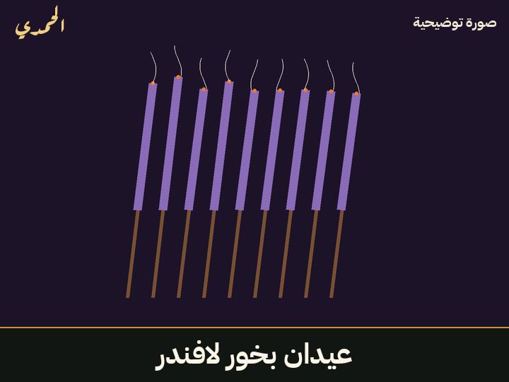 عيدان بخور لافندر