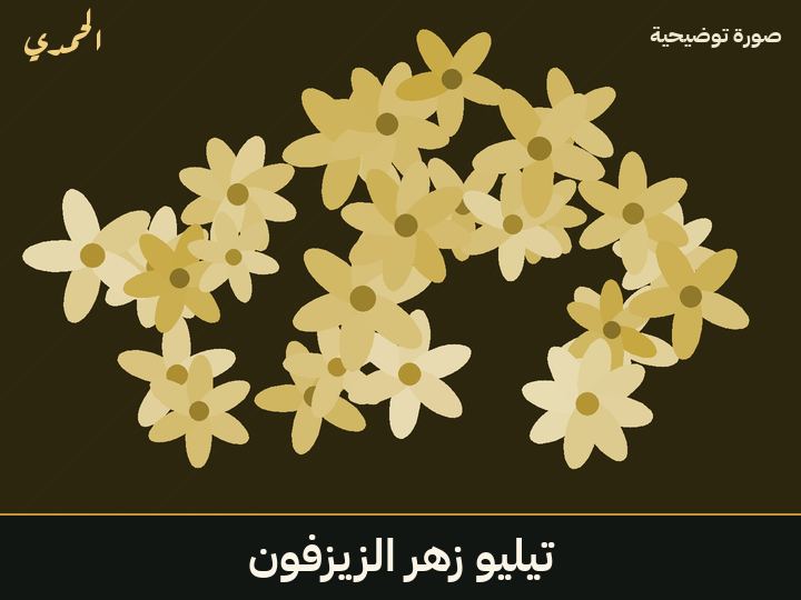 تيليو (زهر الزيزفون)