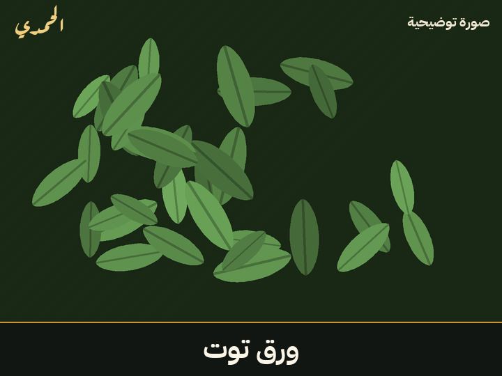 ورق توت