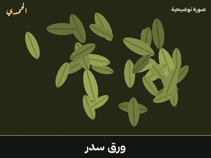 ورق سدر