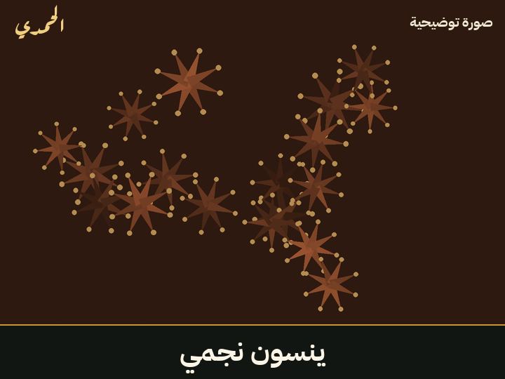 ينسون نجمي