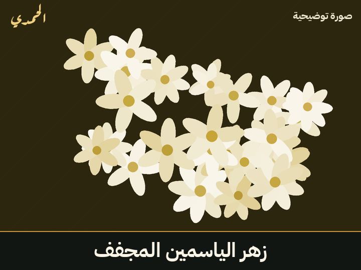 زهر الياسمين المجفف