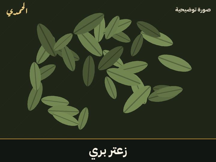 زعتر بري