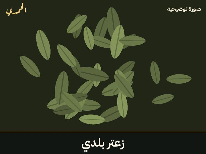 زعتر بلدي