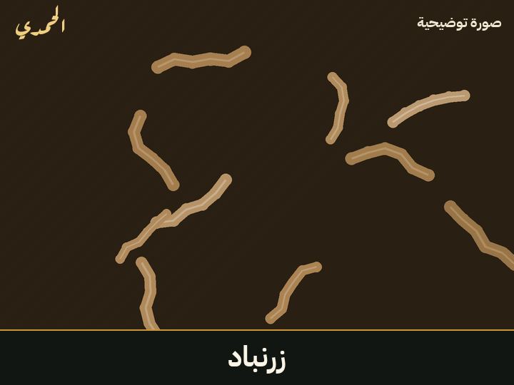 زرنباد