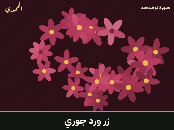 زر ورد جوري